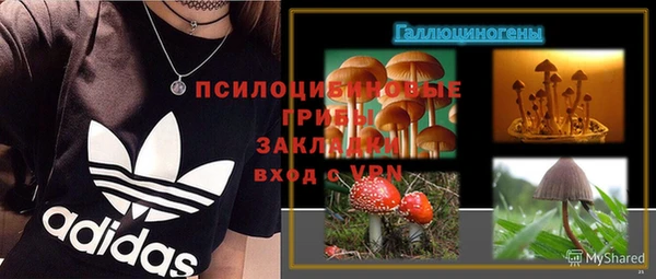 альфа пвп Заводоуковск