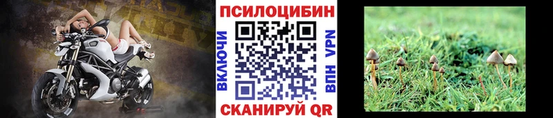 Купить закладки  Власиха  Галлюциногенные грибы мицелий 